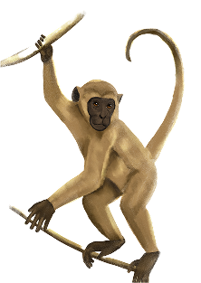 Animated Monkey Picture